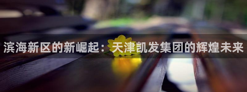 bbin视讯pg：滨海新区的新崛起：天津凯发集团的辉煌未来