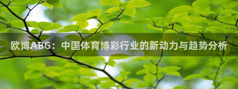 bbin视讯代理：欧博ABG：中国体育博彩行业的新动力与趋势分析