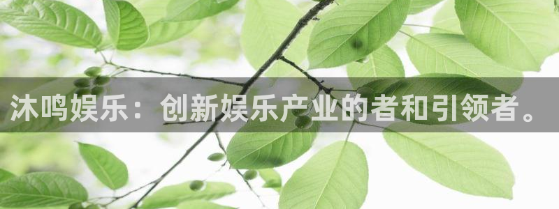 bbin视讯哪个游戏好爆：沐鸣娱乐：创新娱乐产业的者和引领者。