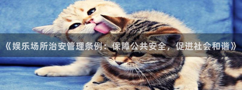 bbin视讯登录：《娱乐场所治安管理条例：保障公共安全，促进社会和谐》