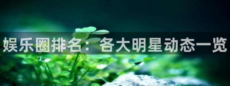 bbin视讯账号注册：娱乐圈排名：各大明星动态一览