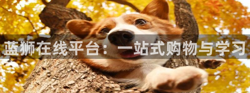 bbin视讯怎么下载：蓝狮在线平台：一站式购物与学习