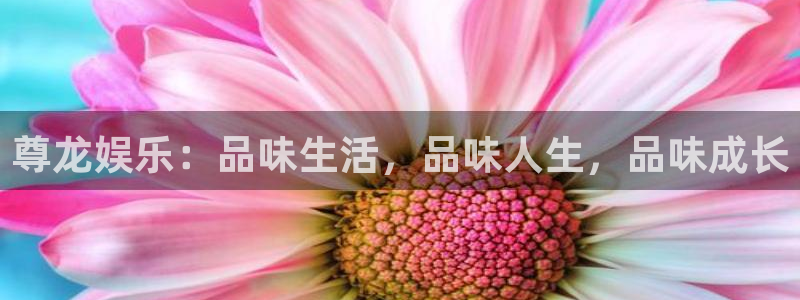 bbin视讯手机客户端下载安装：尊龙娱乐：品味生活，品味人生，品味成长
