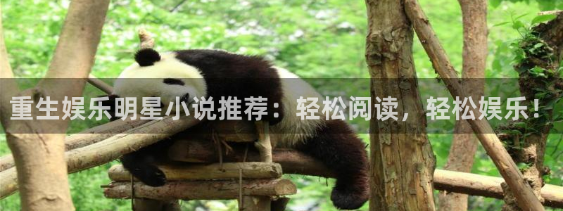 bbin视讯体育凯捷平台注册：重生娱乐明星小说推荐：轻松阅读，轻松娱乐！