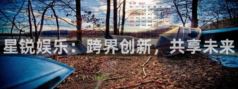 bbin视讯2登录入口：星锐娱乐：跨界创新，共享未来