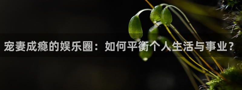 bbin视讯体育注册代理：宠妻成瘾的娱乐圈：如何平衡个人生活与事业？