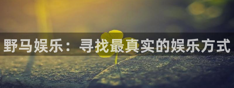 bbin视讯是大平台吗：野马娱乐：寻找最真实的娱乐方式
