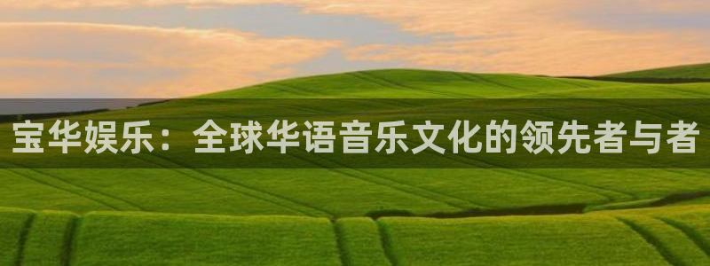 bbin视讯加拿大官网：宝华娱乐：全球华语音乐文化的领先者与者