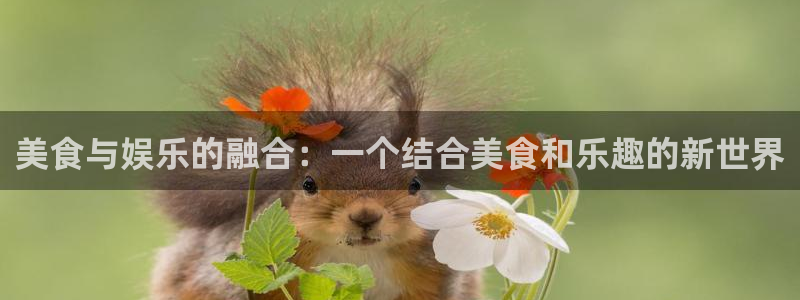 bbin视讯2平台登录：美食与娱乐的融合：一个结合美食和乐趣的新世界