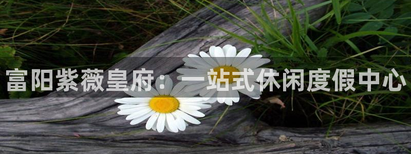 bbin视讯下载官网入口在哪：富阳紫薇皇府：一站式休闲度假中心
