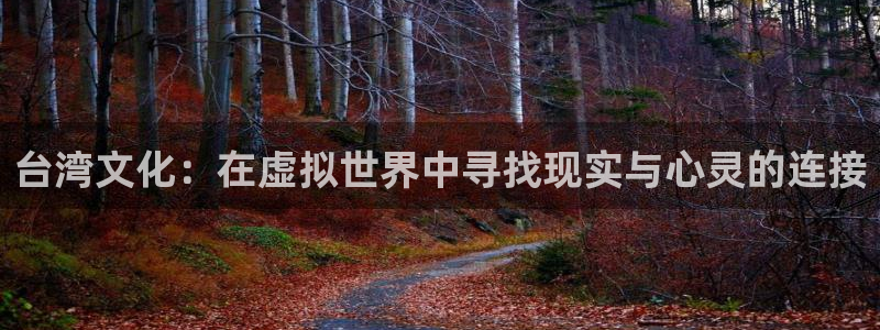 bbin视讯平台官网入口：台湾文化：在虚拟世界中寻找现实与心灵的连接