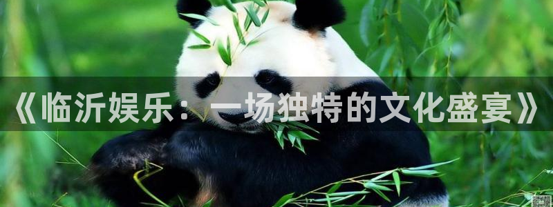 bbin视讯游app：《临沂娱乐：一场独特的文化盛宴》