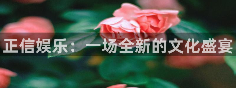 bbin视讯凯捷平台