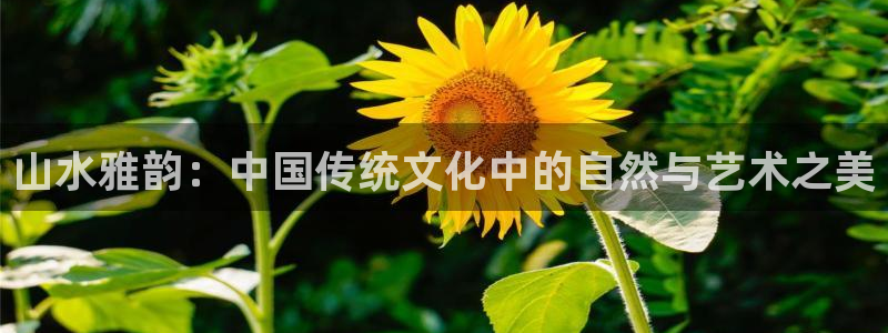 bbin视讯pg：山水雅韵：中国传统文化中的自然与艺术之美