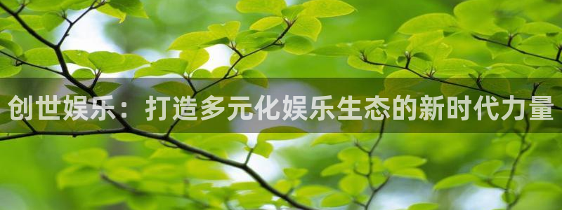 bbin视讯是大平台吗：创世娱乐：打造多元化娱乐生态的新时代力量