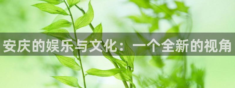 bbin视讯体育官网入口登录：安庆的娱乐与文化：一个全新的视角