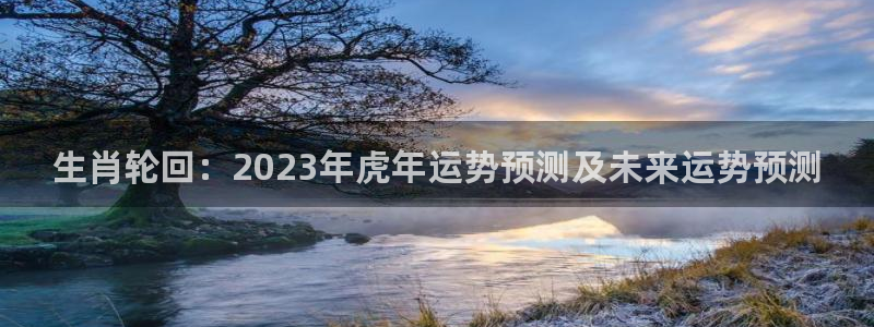 bbin视讯平台注册：生肖轮回：2023年虎年运势预测及未来运势预测