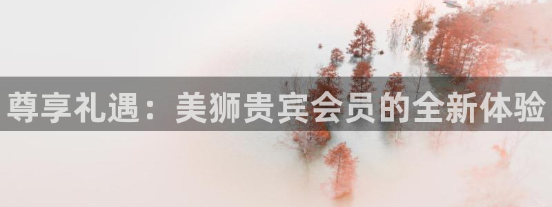 bbin视讯3平台登录注册：尊享礼遇：美狮贵宾会员的全新体验