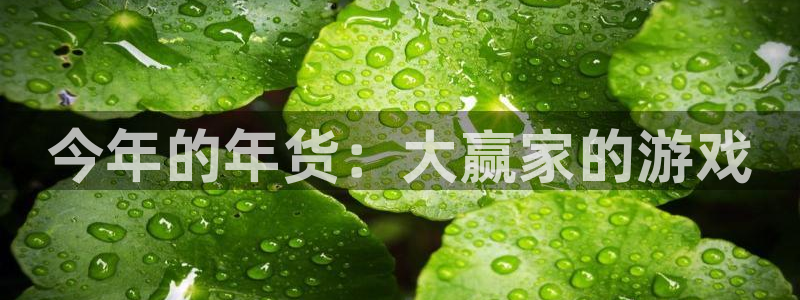 bbin视讯官网：今年的年货：大赢家的游戏