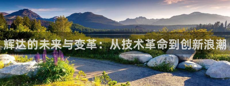 bbin视讯平台主管：辉达的未来与变革：从技术革命到创新浪潮