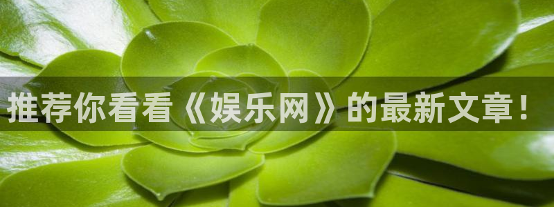 bbin视讯2体育登录入口：推荐你看看《娱乐网》的最新文章！