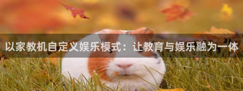 bbin视讯体育代理申请流程：以家教机自定义娱乐模式：让教育与娱乐融为一体