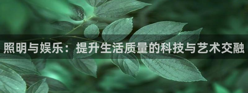 bbin视讯3平台登录注册：照明与娱乐：提升生活质量的科技与艺术交融