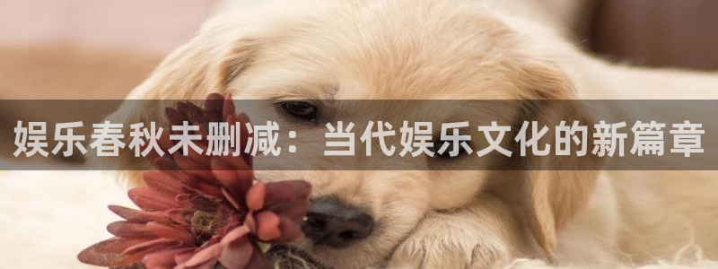 bbin视讯：娱乐春秋未删减：当代娱乐文化的新篇章