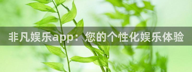 bbin视讯网站登录流程：非凡娱乐app：您的个性化娱乐体验