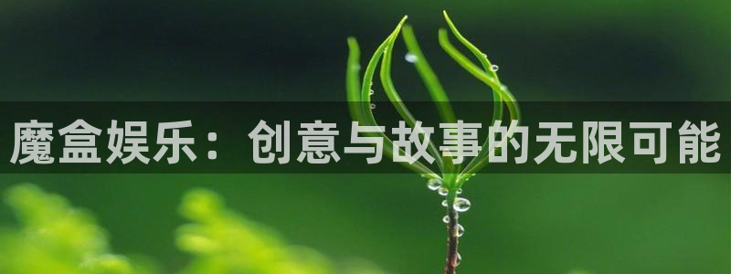 bbin视讯下载入口：魔盒娱乐：创意与故事的无限可能