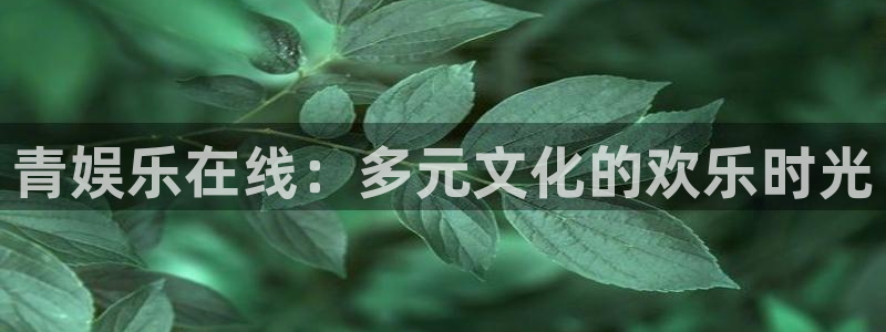 bbin视讯体育4