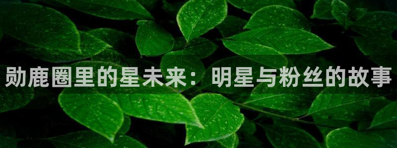 bbin视讯在线预测：勋鹿圈里的星未来：明星与粉丝的故事