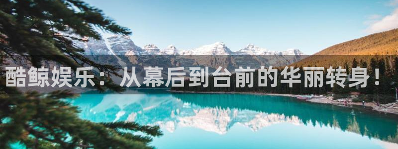 bbin视讯平台官方入口下载：酷鲸娱乐：从幕后到台前的华丽转身！