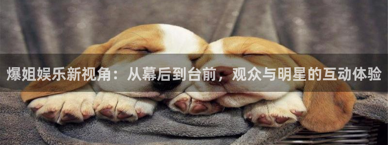 bbin视讯体育官网：爆姐娱乐新视角：从幕后到台前，观众与明星的互动体验