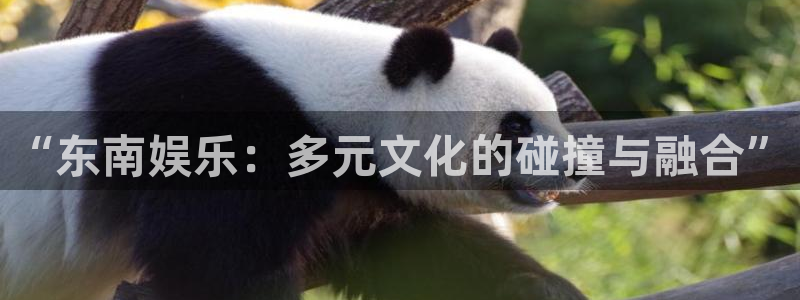 东莞市bbin视讯电子科技有限公司：“东南娱乐：多元文化的碰撞与融合”